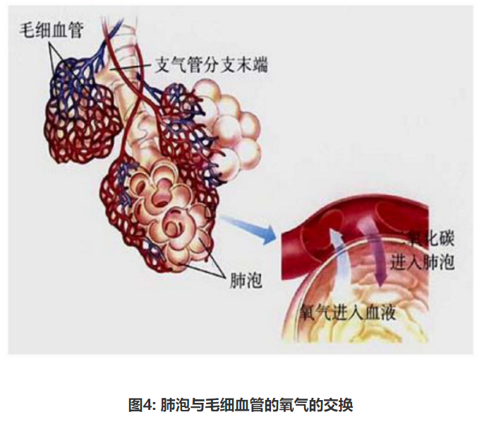 1611799970546954.png 圖片.png
