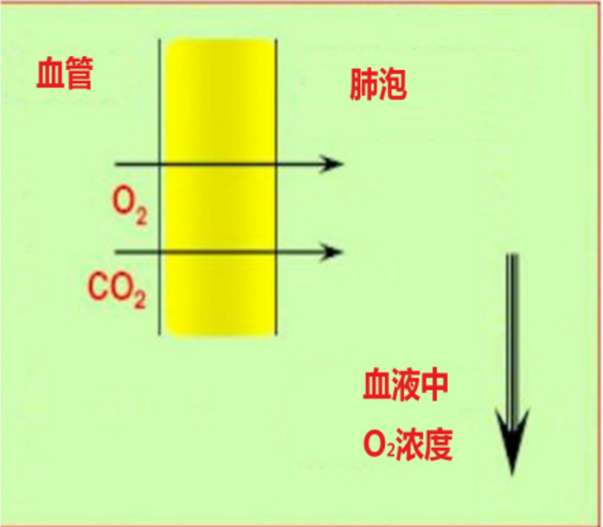 1611800003308556.png 圖片.png