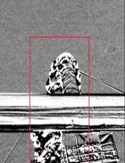 1639112245811433.jpg 微信圖片_20211210125233.jpg