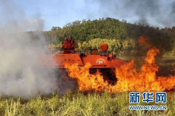 【動畫】森林草原防火“十不準”“五不燒”！這些安全知識要牢記